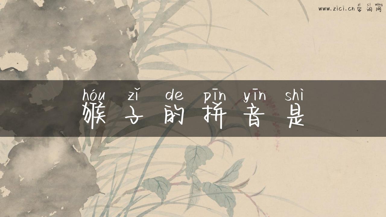 猴子的拼音是