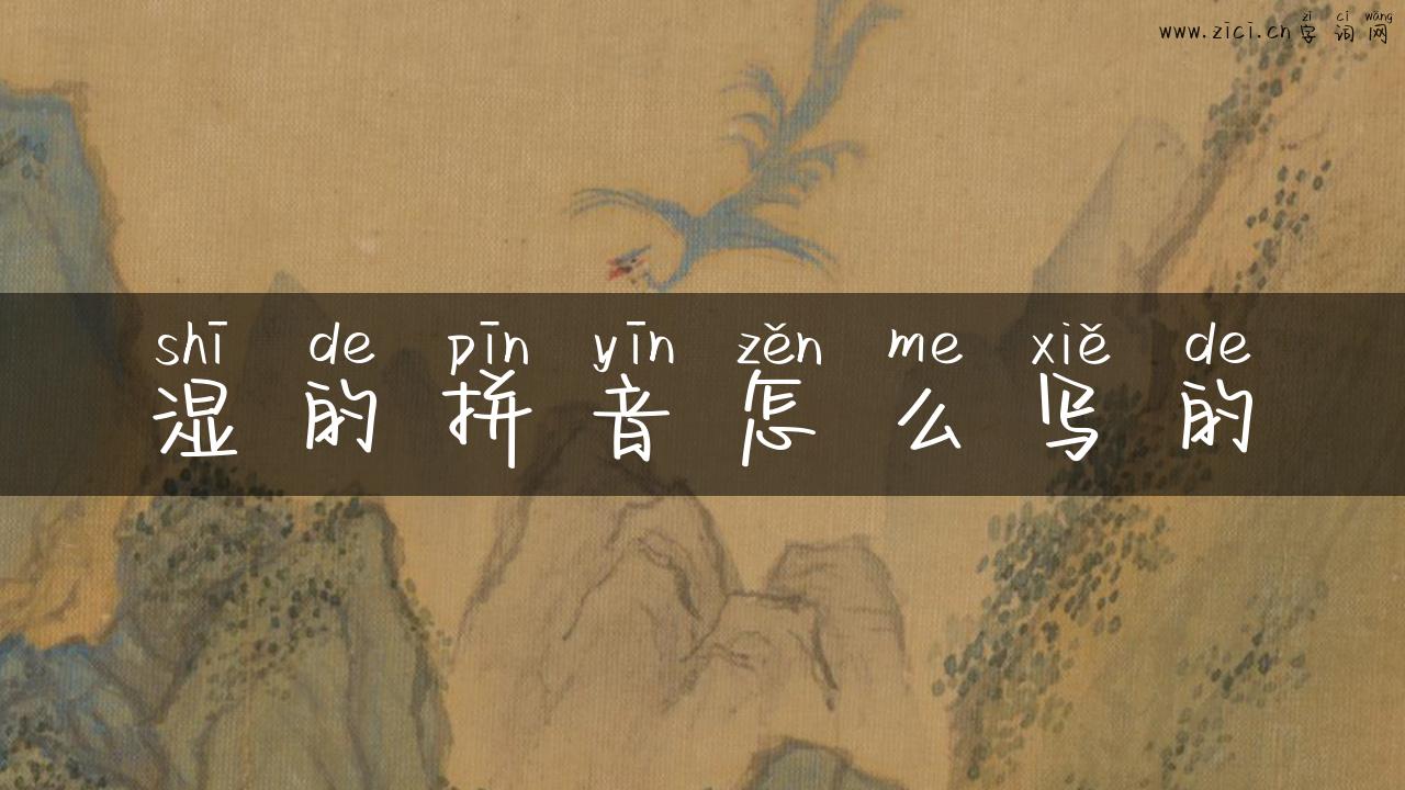 湿的拼音怎么写的