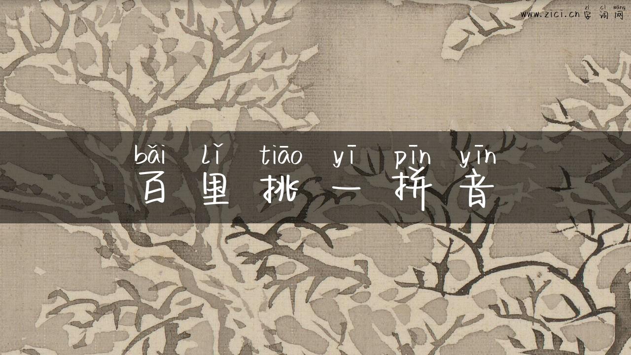 百里挑一拼音