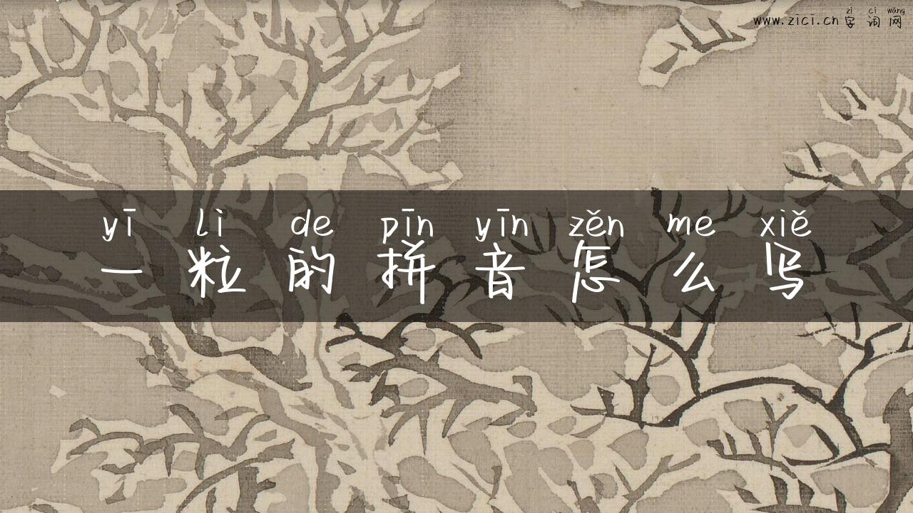 一粒的拼音怎么写