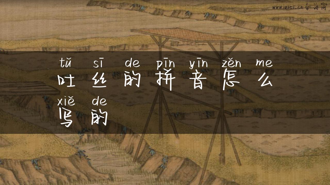 吐丝的拼音怎么写的