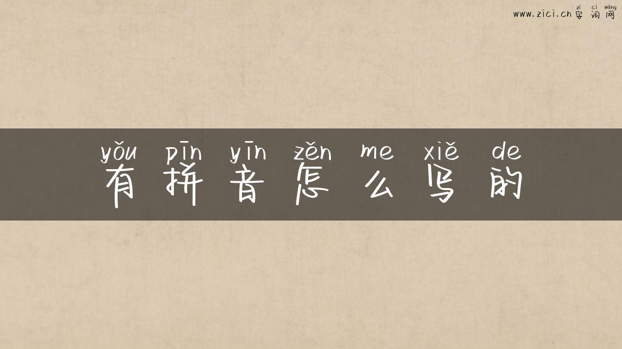 有拼音怎么写的