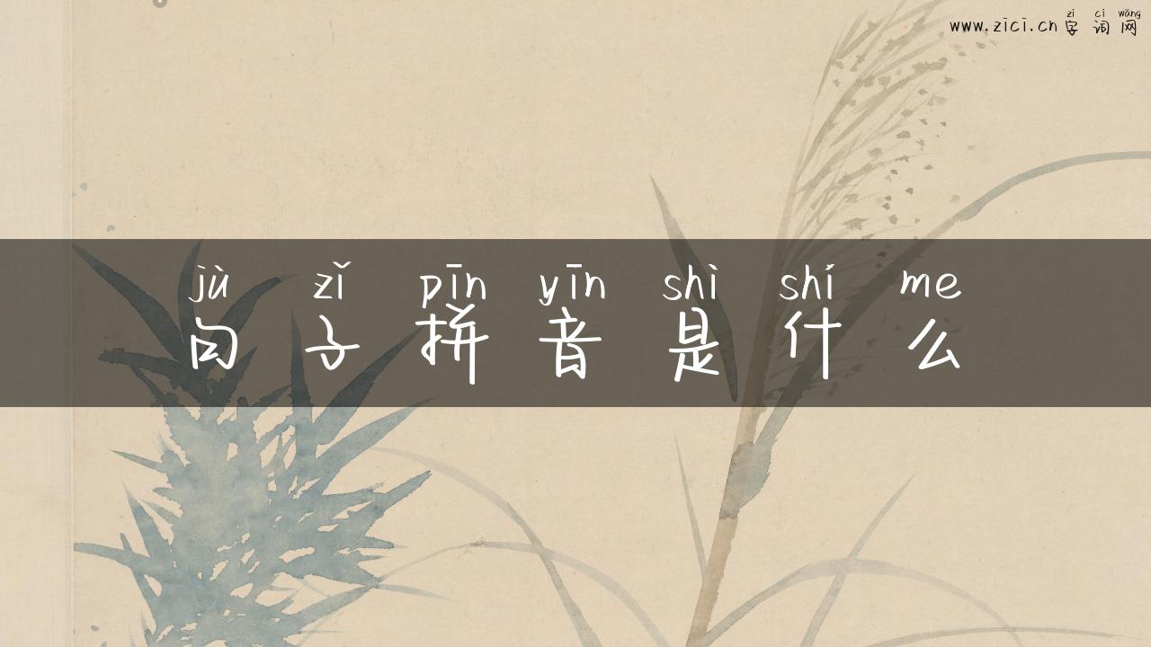 句子拼音是什么