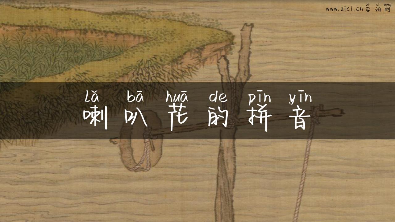 喇叭花的拼音