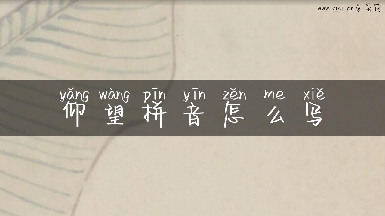 仰望拼音怎么写