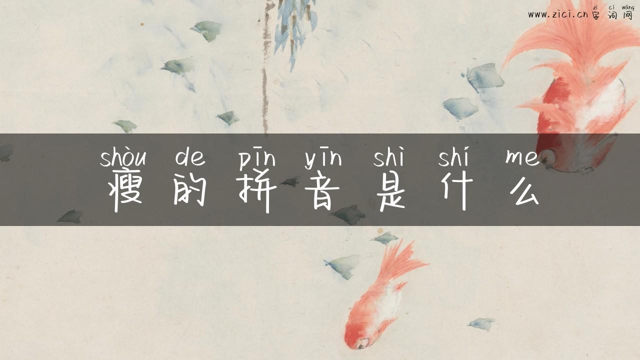 瘦的拼音是什么
