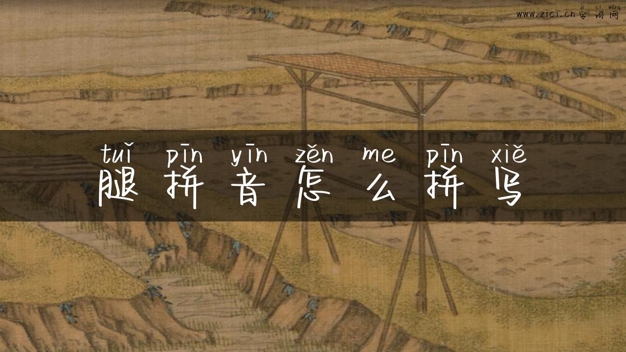 腿拼音怎么拼写