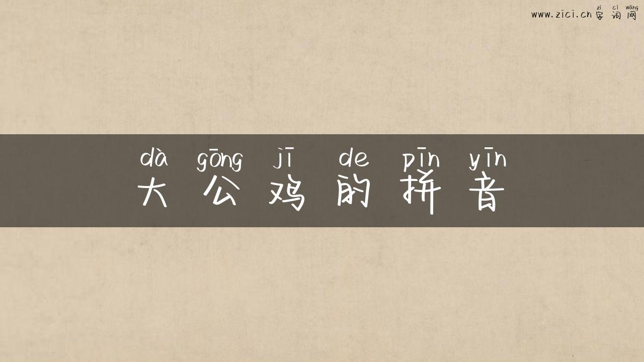 大公鸡的拼音