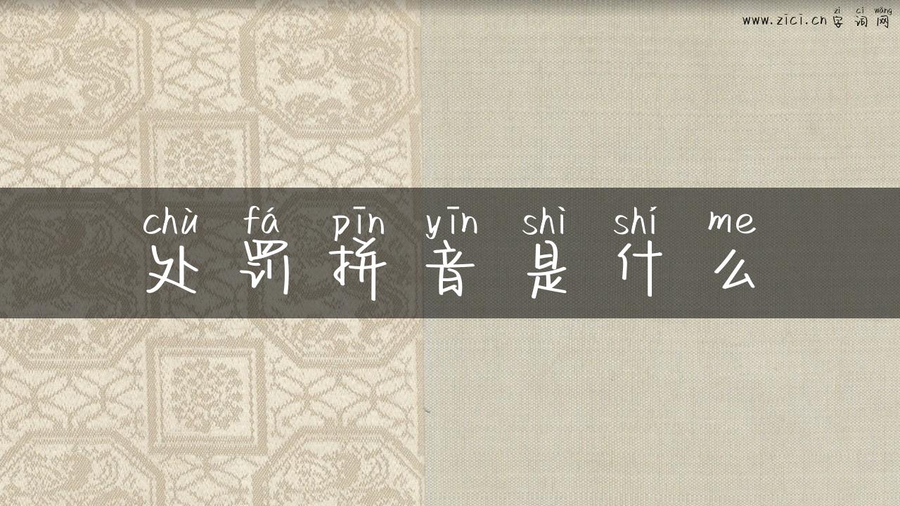 处罚拼音是什么