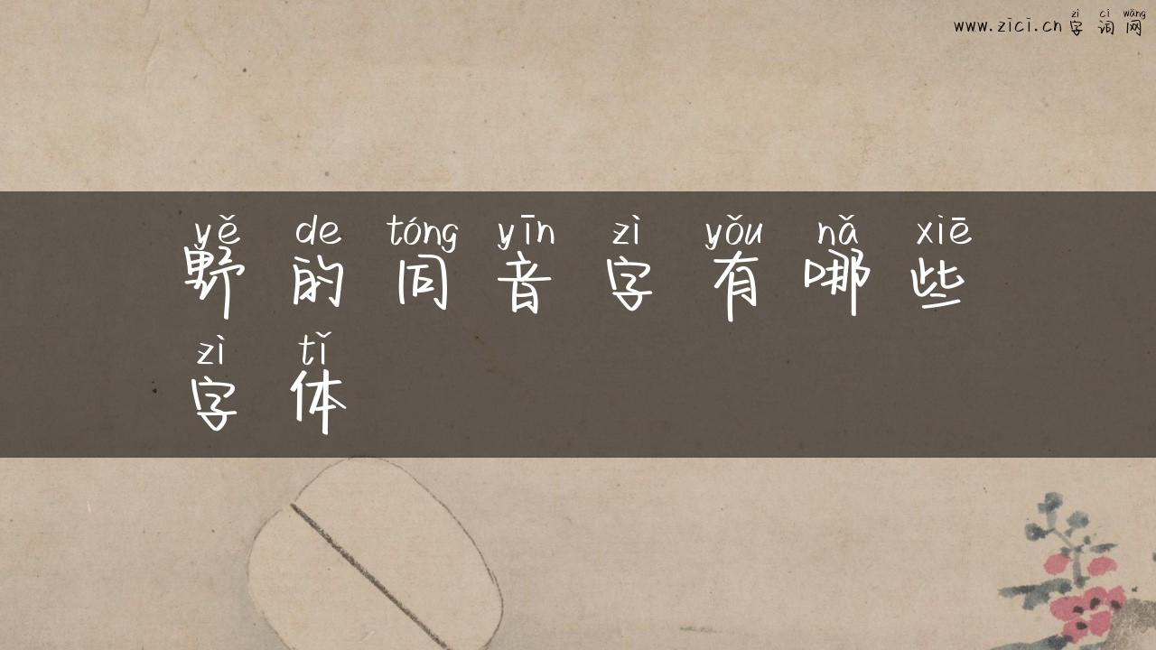 野的同音字有哪些字体