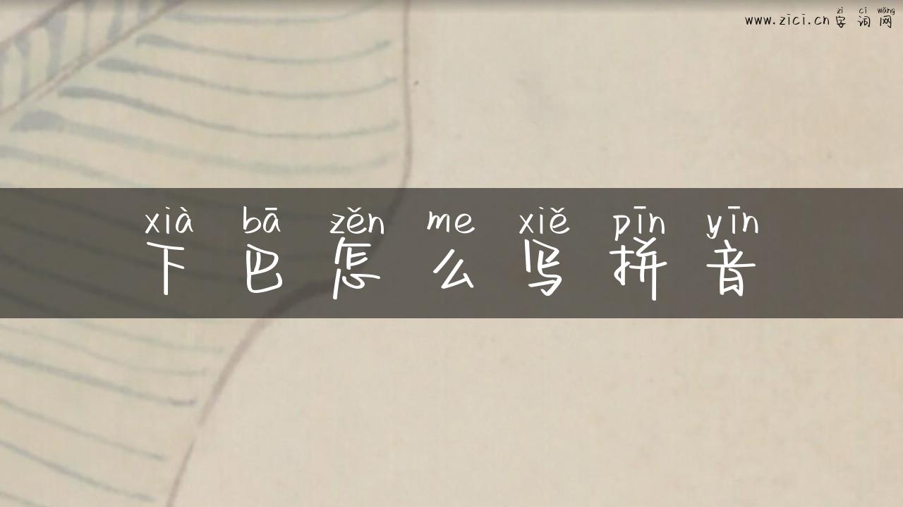 下巴怎么写拼音