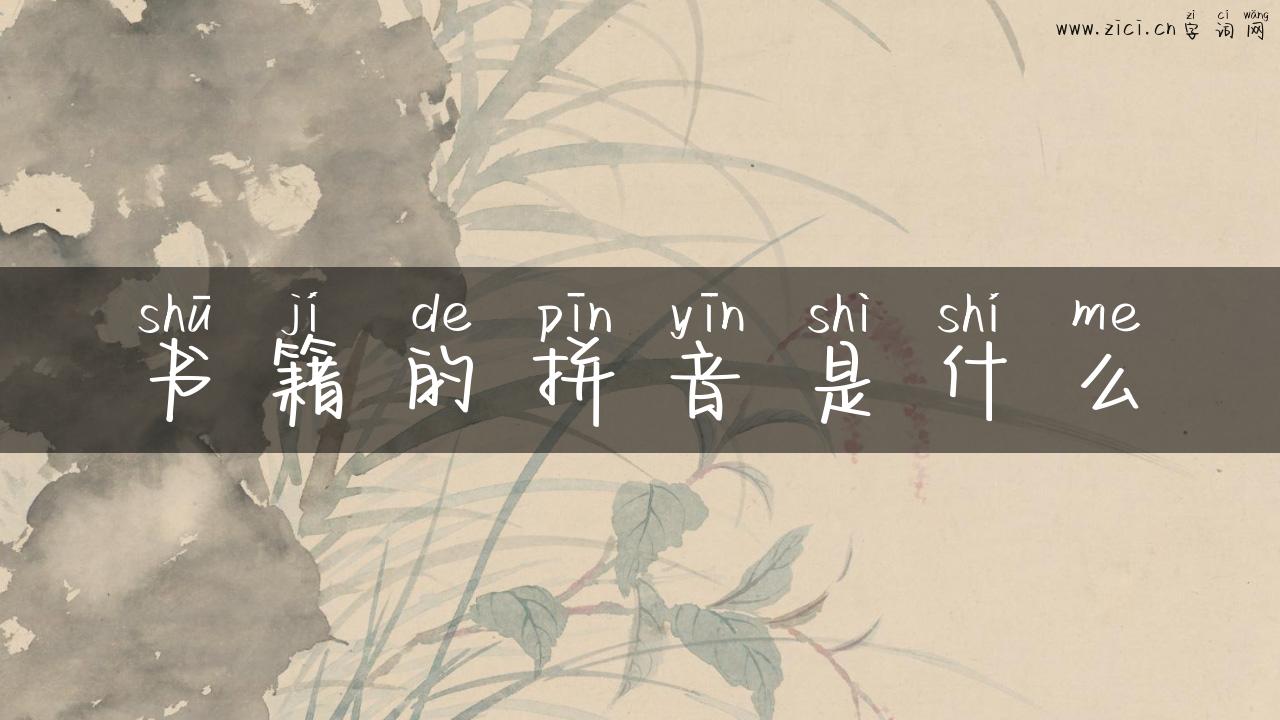 书籍的拼音是什么
