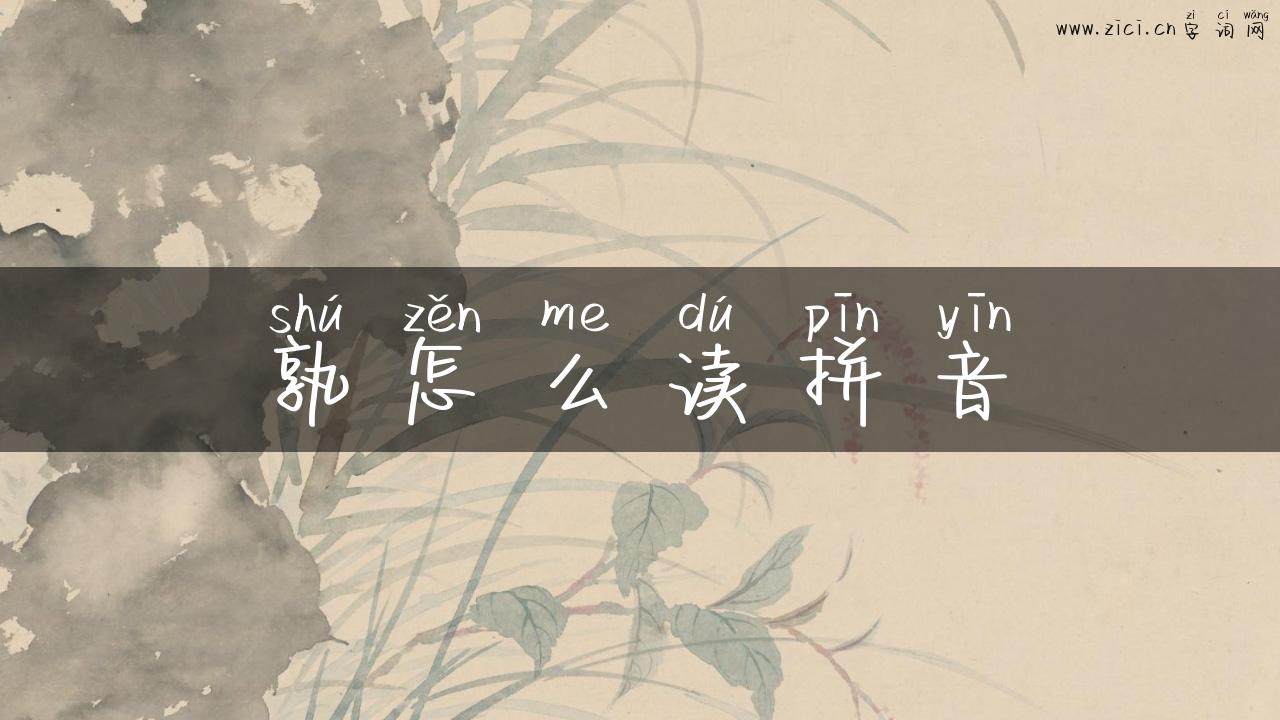 孰怎么读拼音