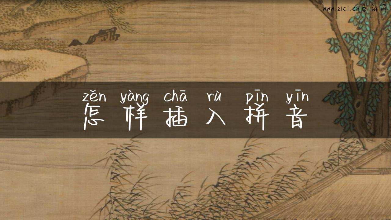 怎样插入拼音