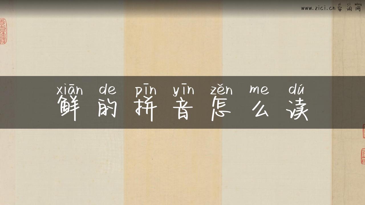 鲜的拼音怎么读
