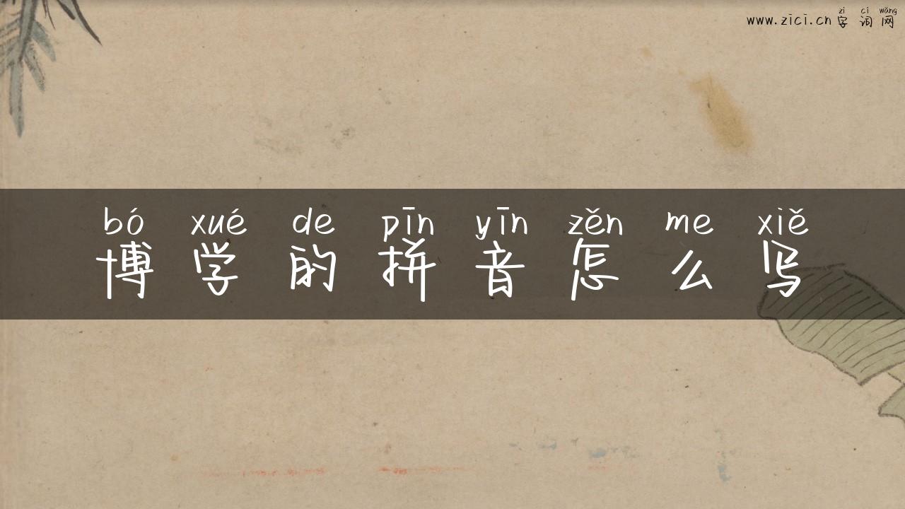 博学的拼音怎么写