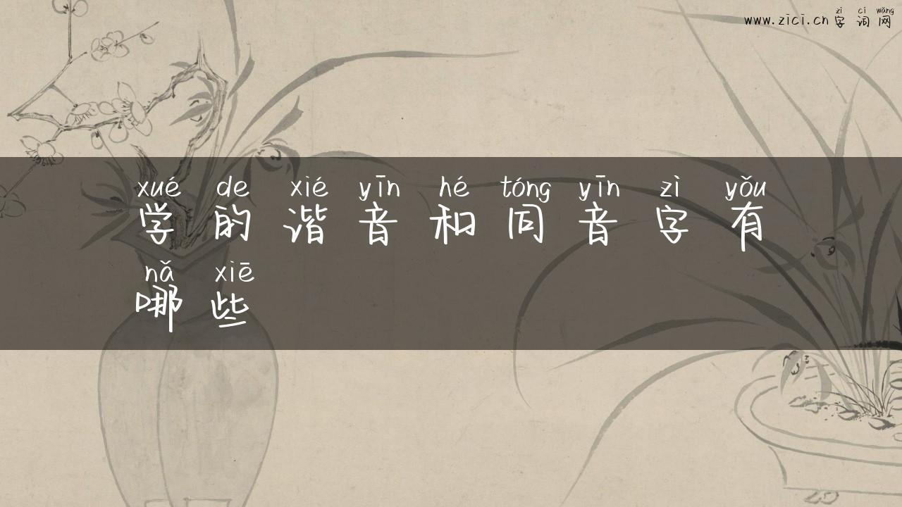 学的谐音和同音字有哪些