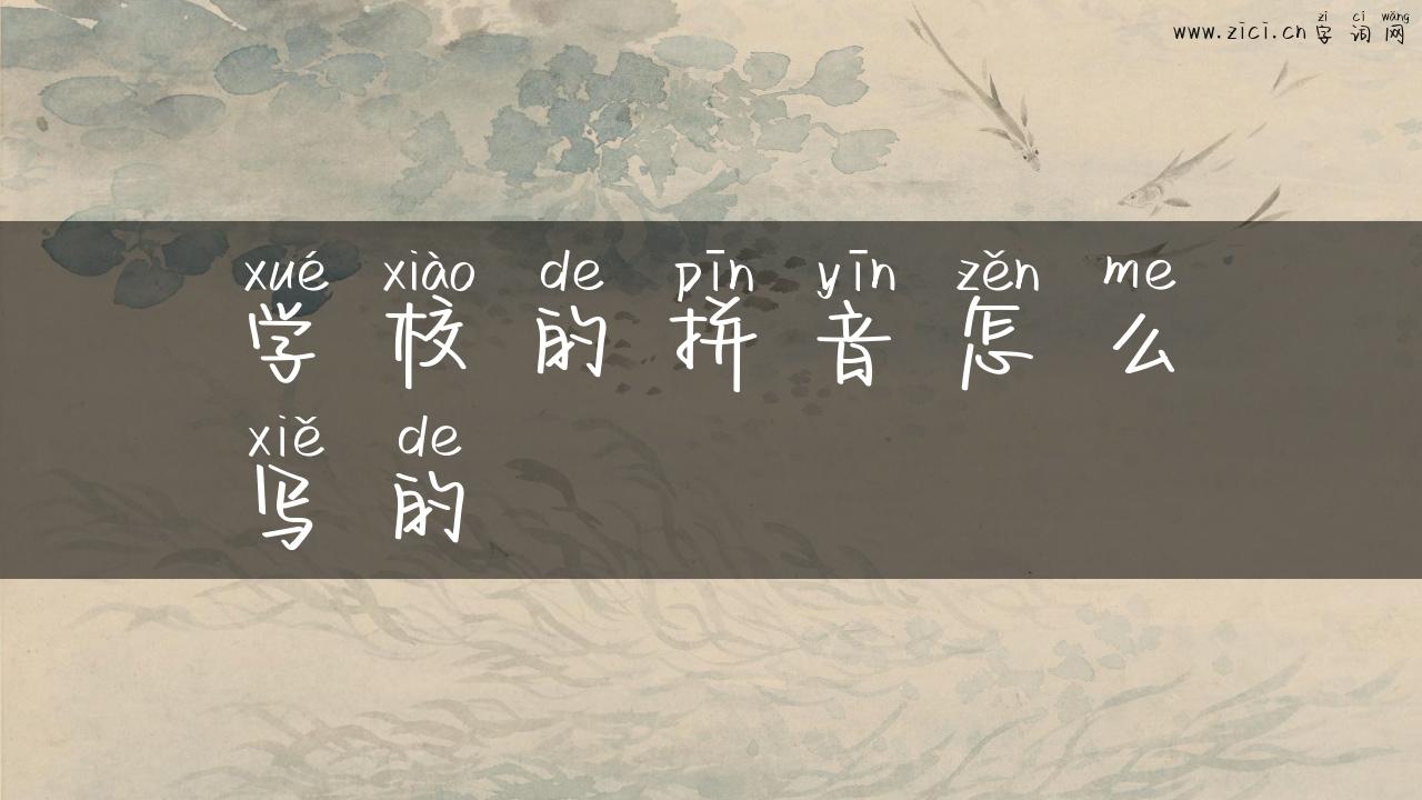 学校的拼音怎么写的