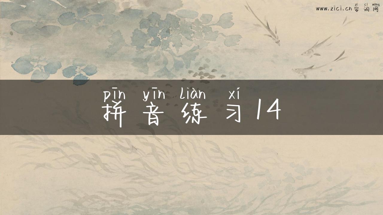 拼音练习14