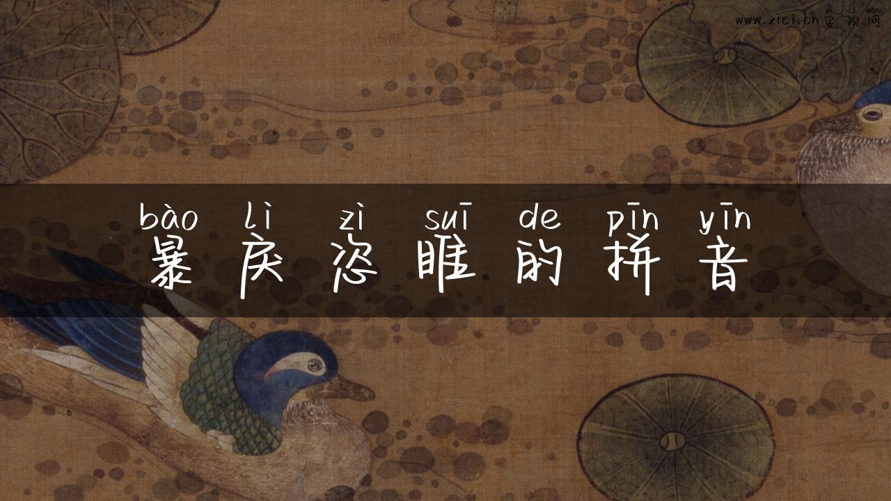暴戾恣睢的拼音