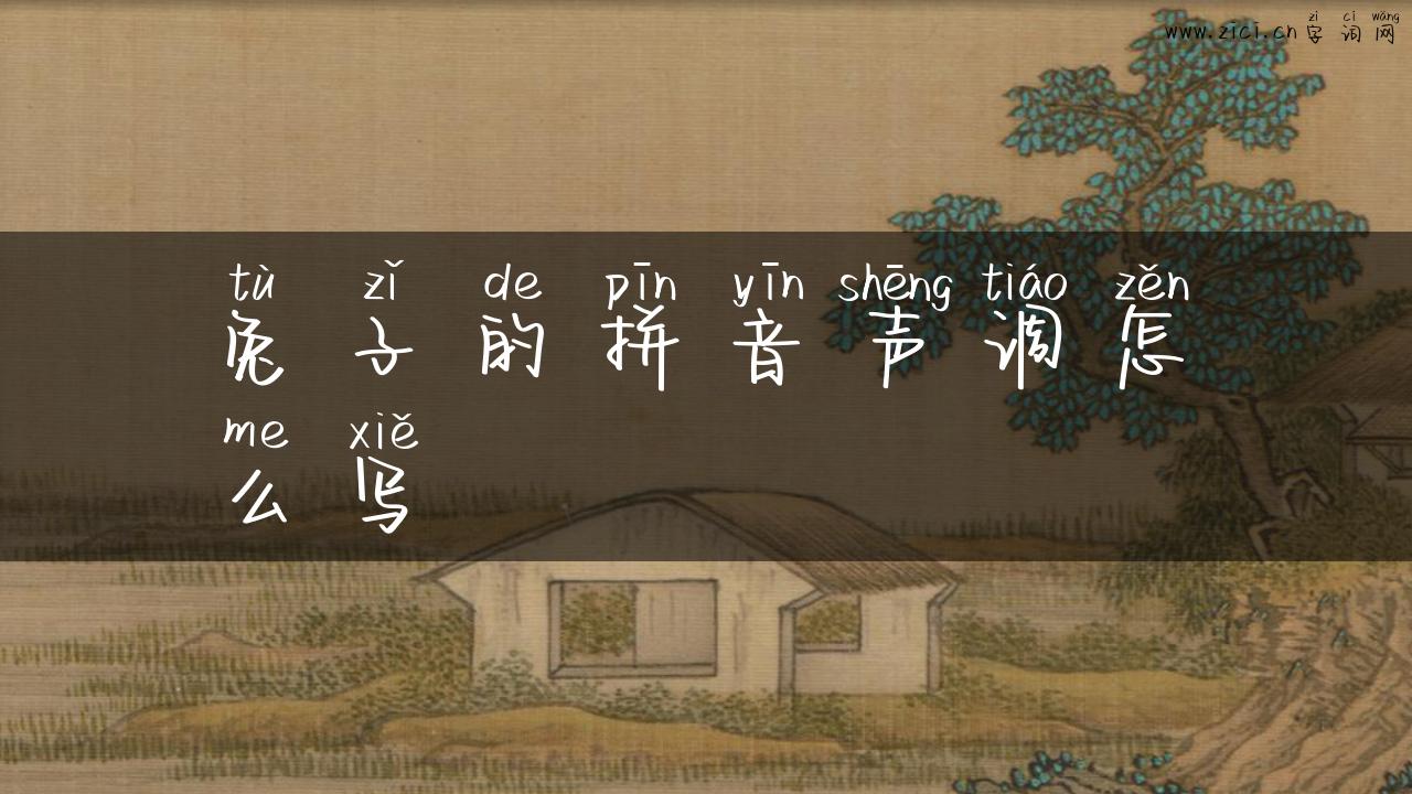 兔子的拼音声调怎么写
