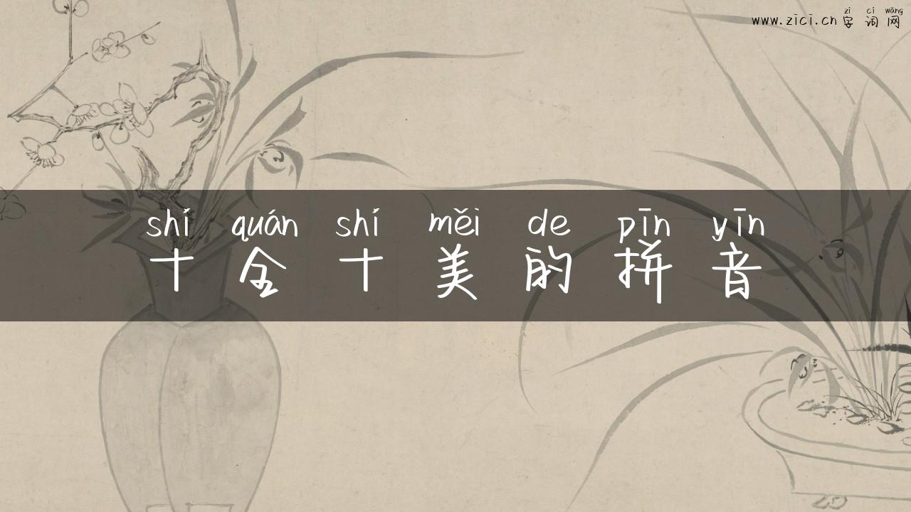 十全十美的拼音