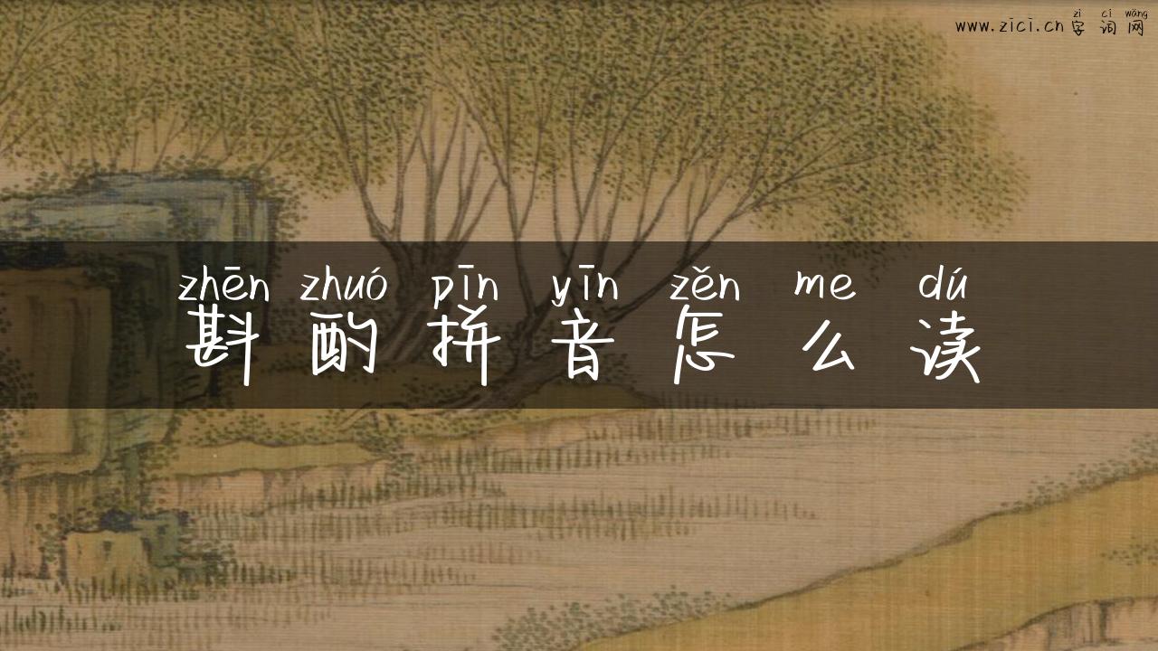 斟酌拼音怎么读