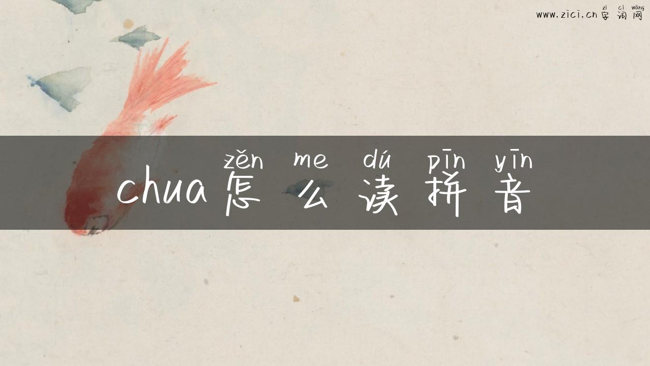 chua怎么读拼音
