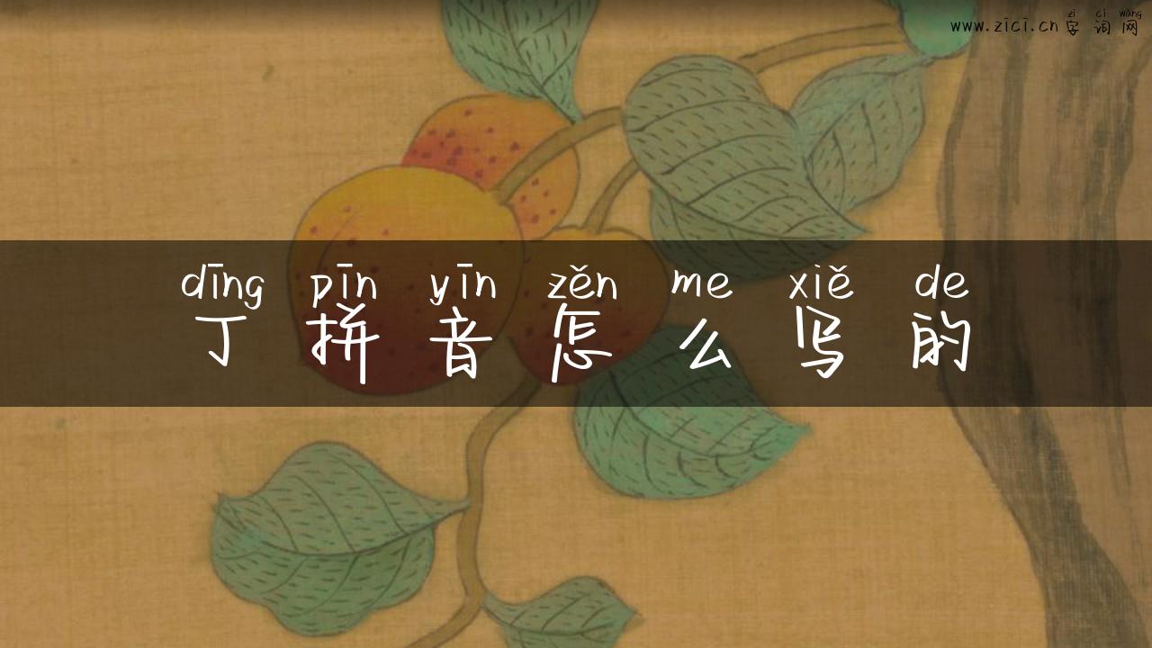 丁拼音怎么写的