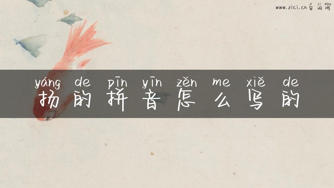 扬的拼音怎么写的