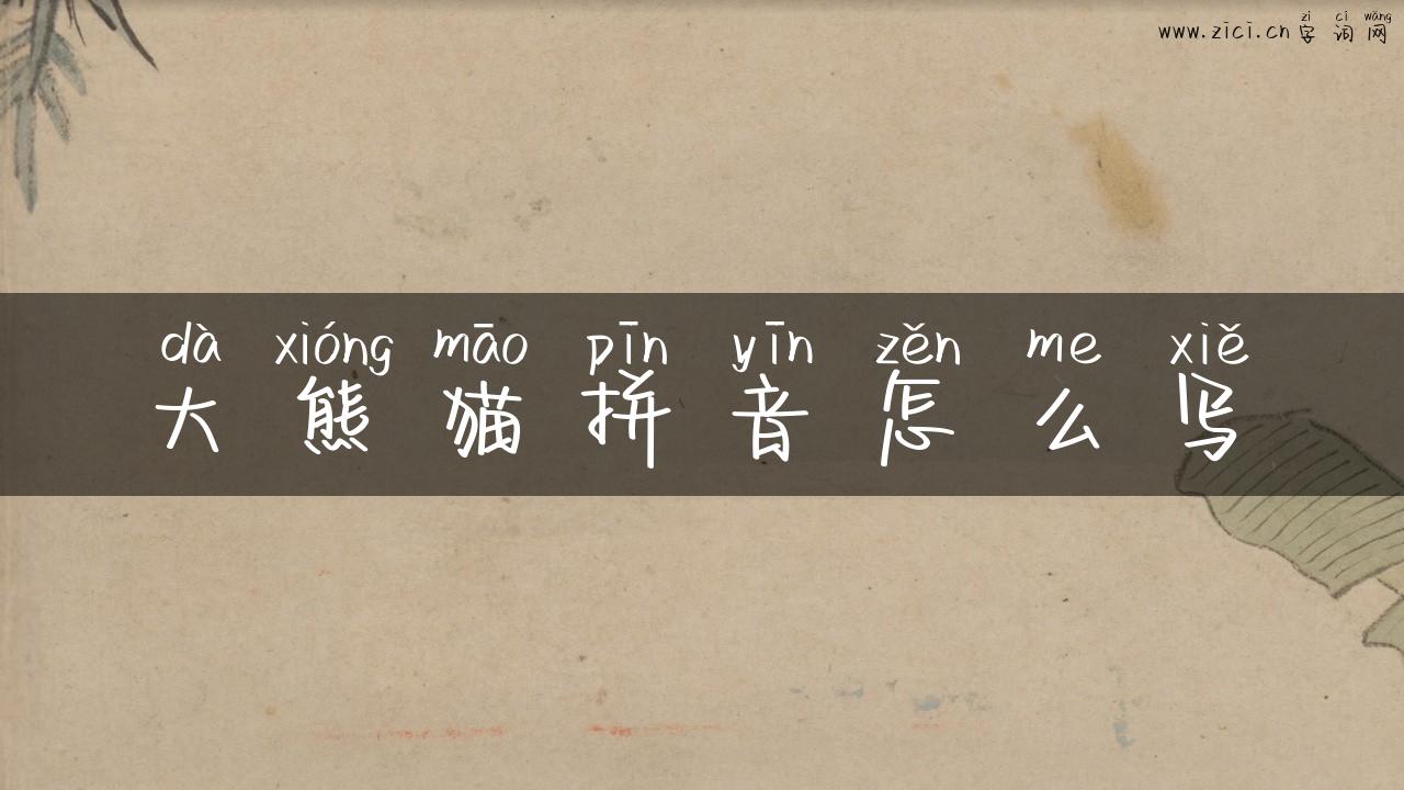 大熊猫拼音怎么写