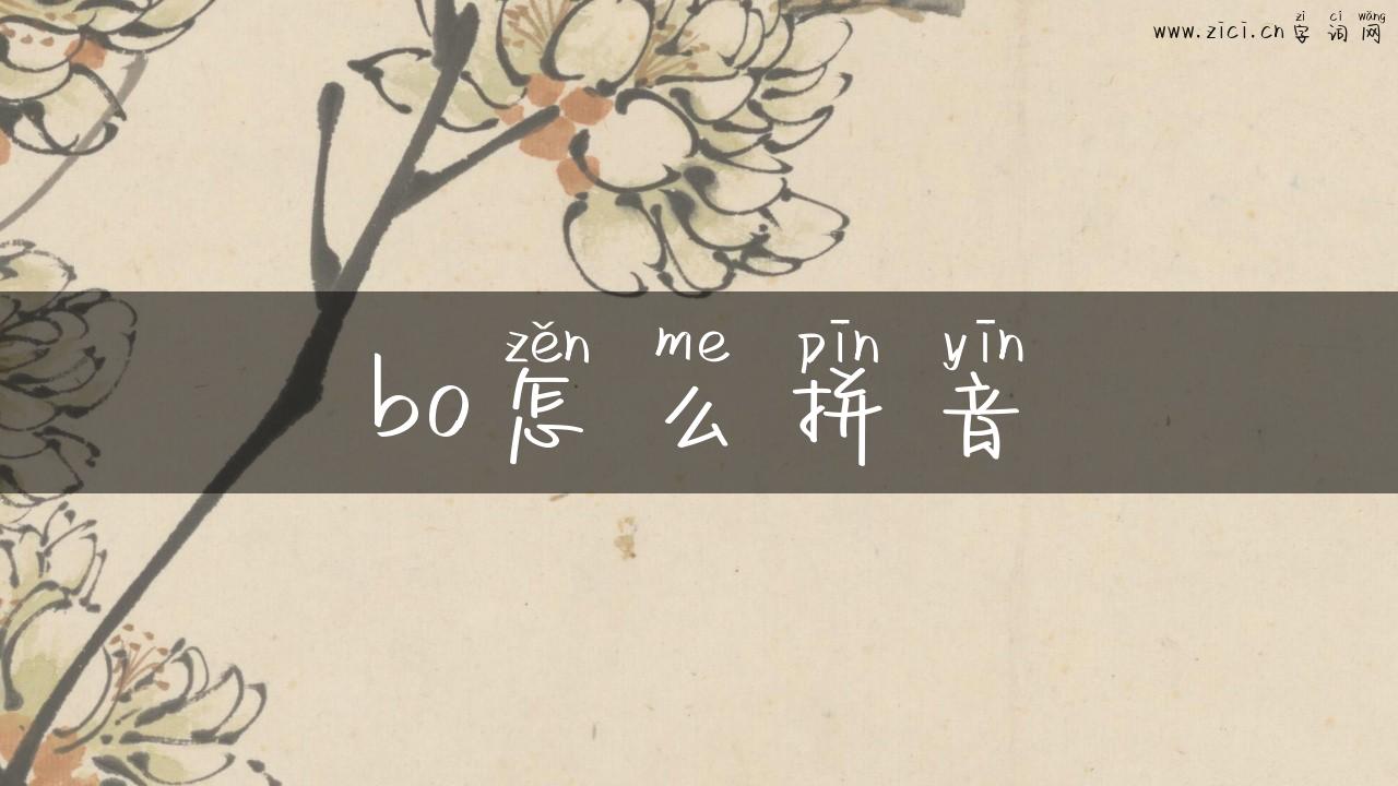 bo怎么拼音