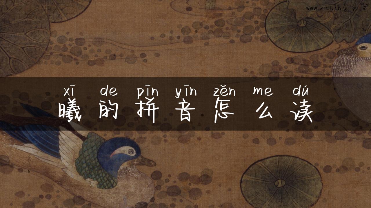 曦的拼音怎么读