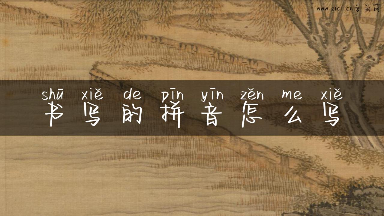 书写的拼音怎么写