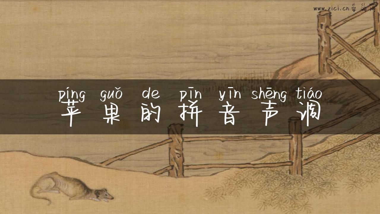 苹果的拼音声调