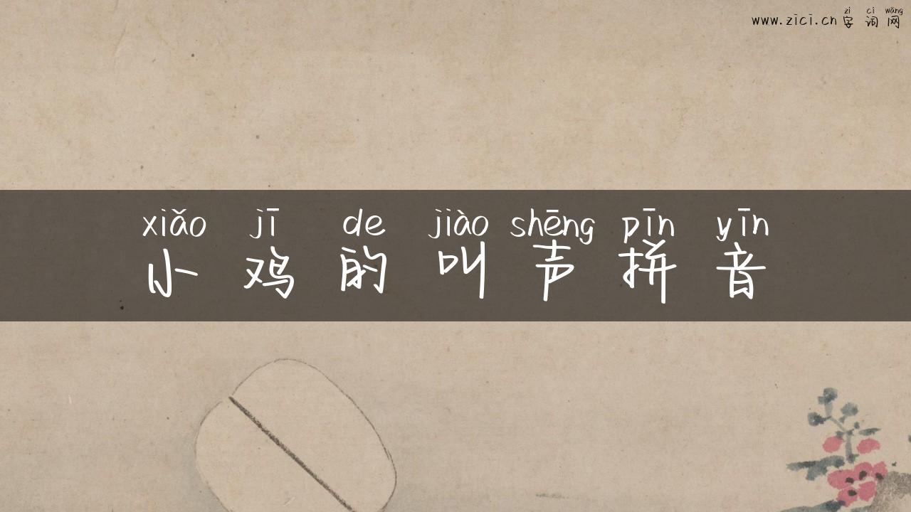 小鸡的叫声拼音