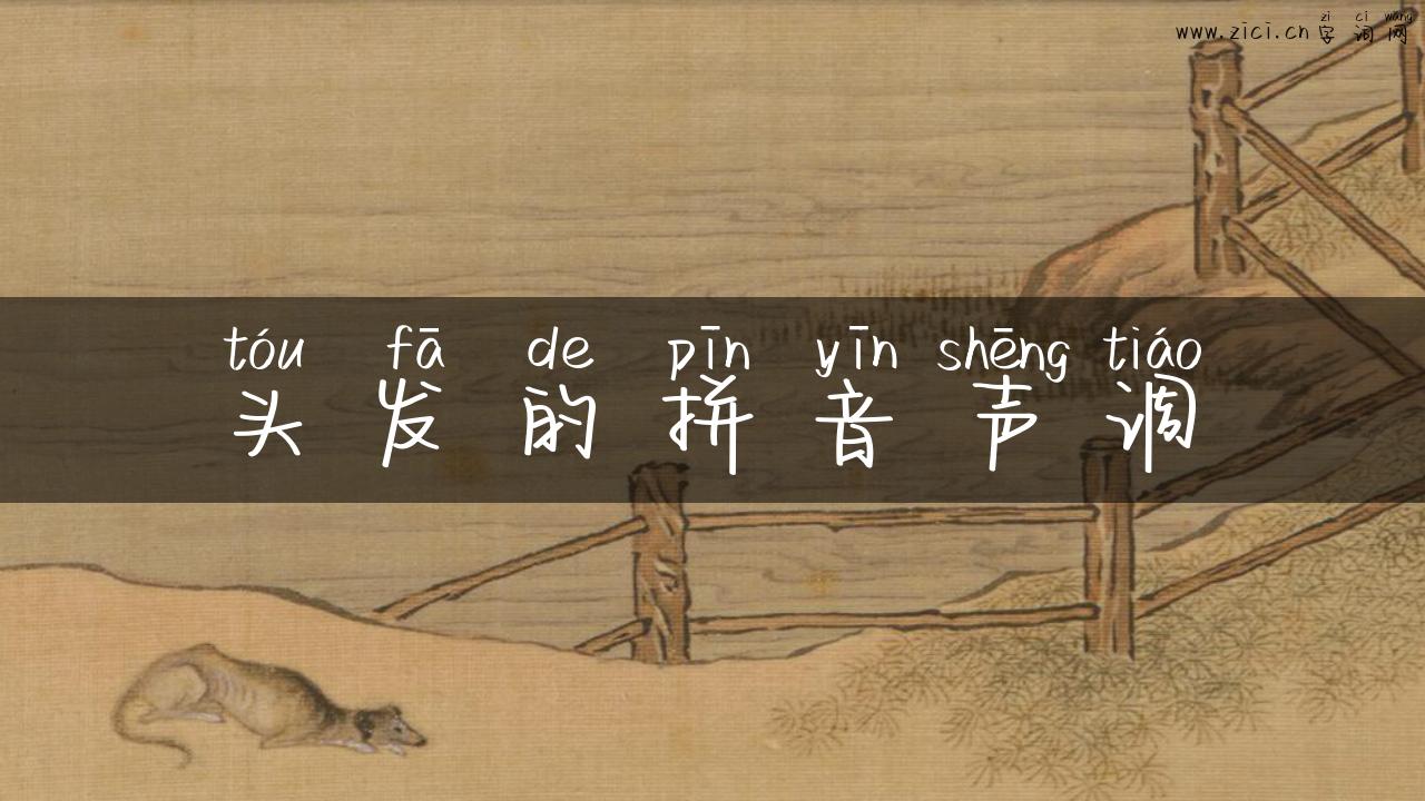 头发的拼音声调