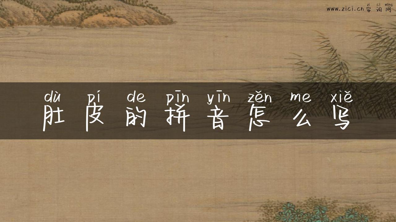 肚皮的拼音怎么写