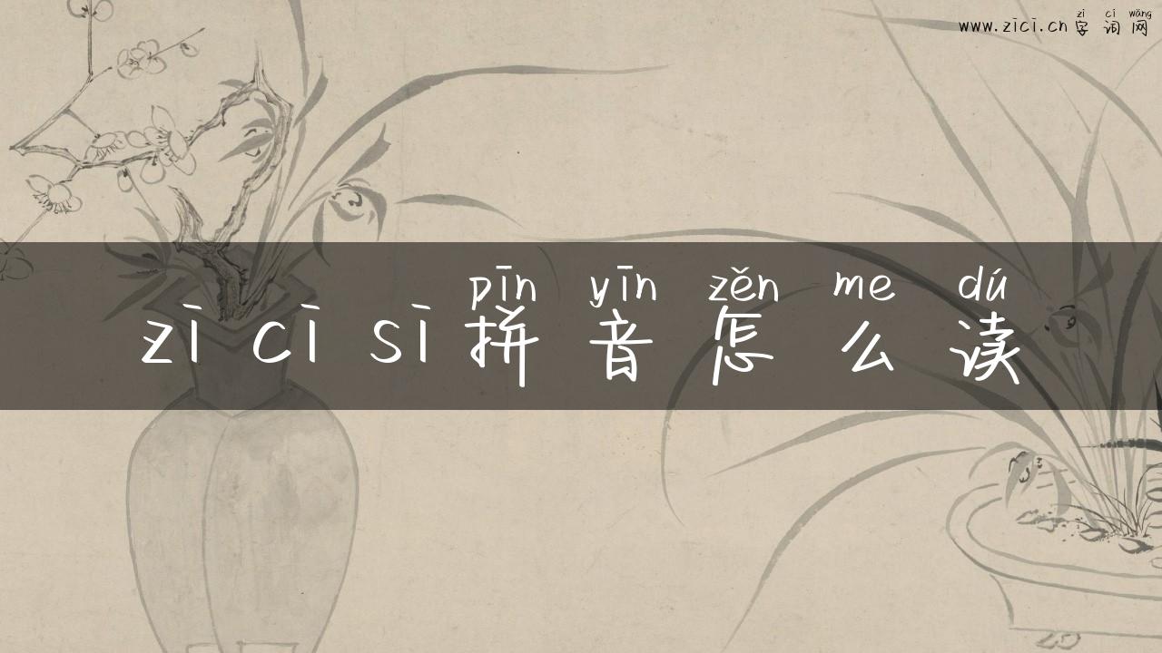 zi ci si拼音怎么读