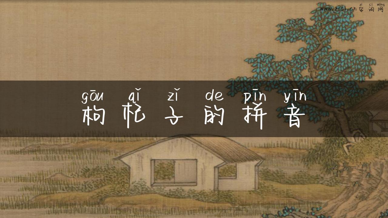 枸杞子的拼音