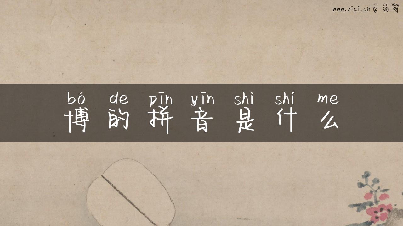 博的拼音是什么