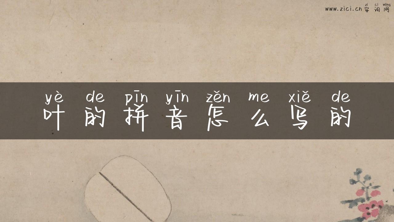 叶的拼音怎么写的