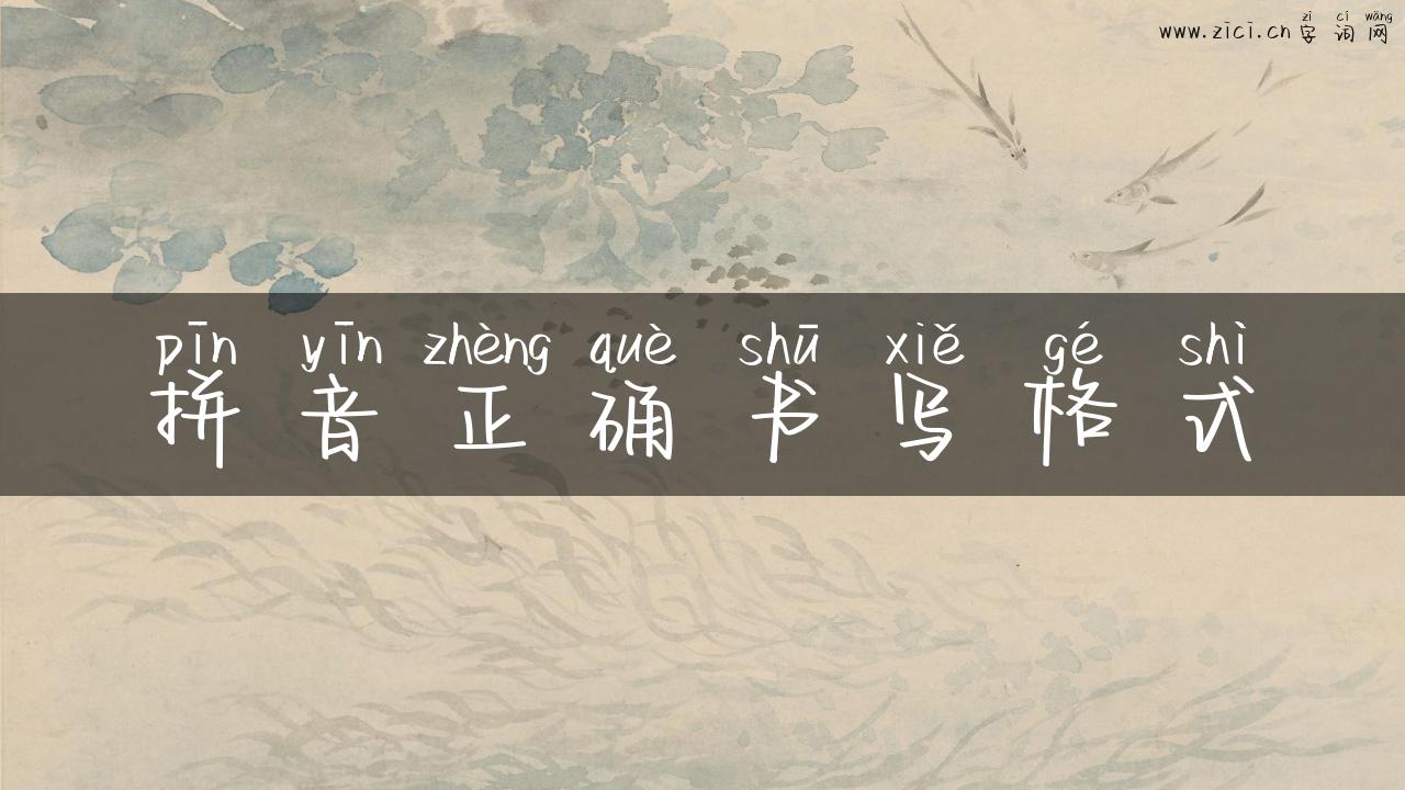 拼音正确书写格式