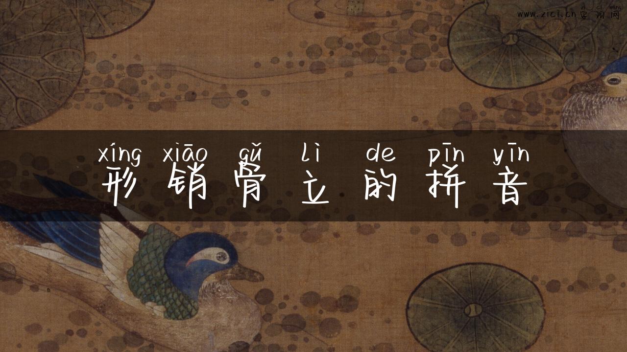形销骨立的拼音