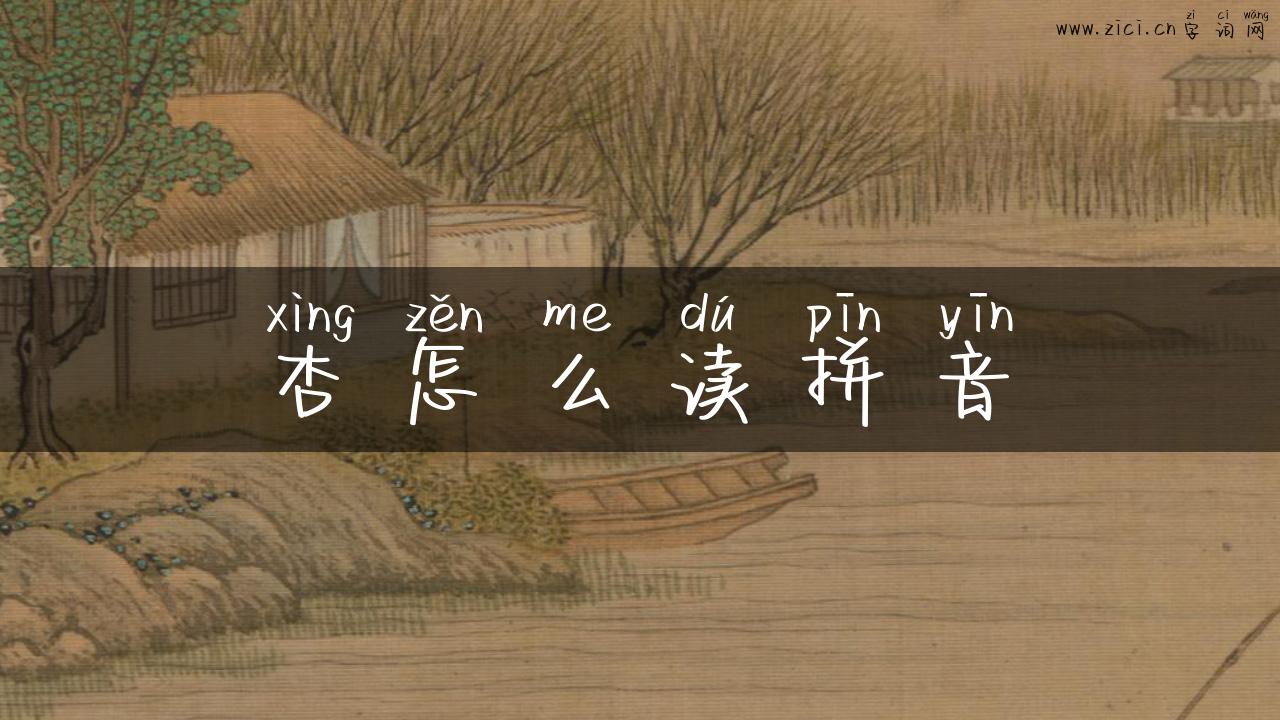 杏怎么读拼音