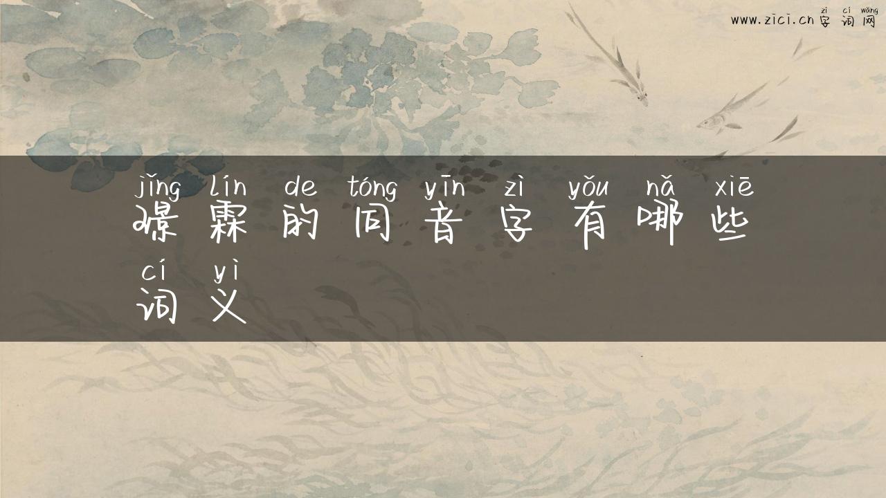 璟霖的同音字有哪些词义