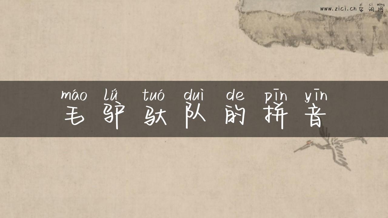 毛驴驮队的拼音