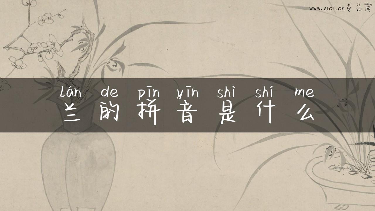 兰的拼音是什么
