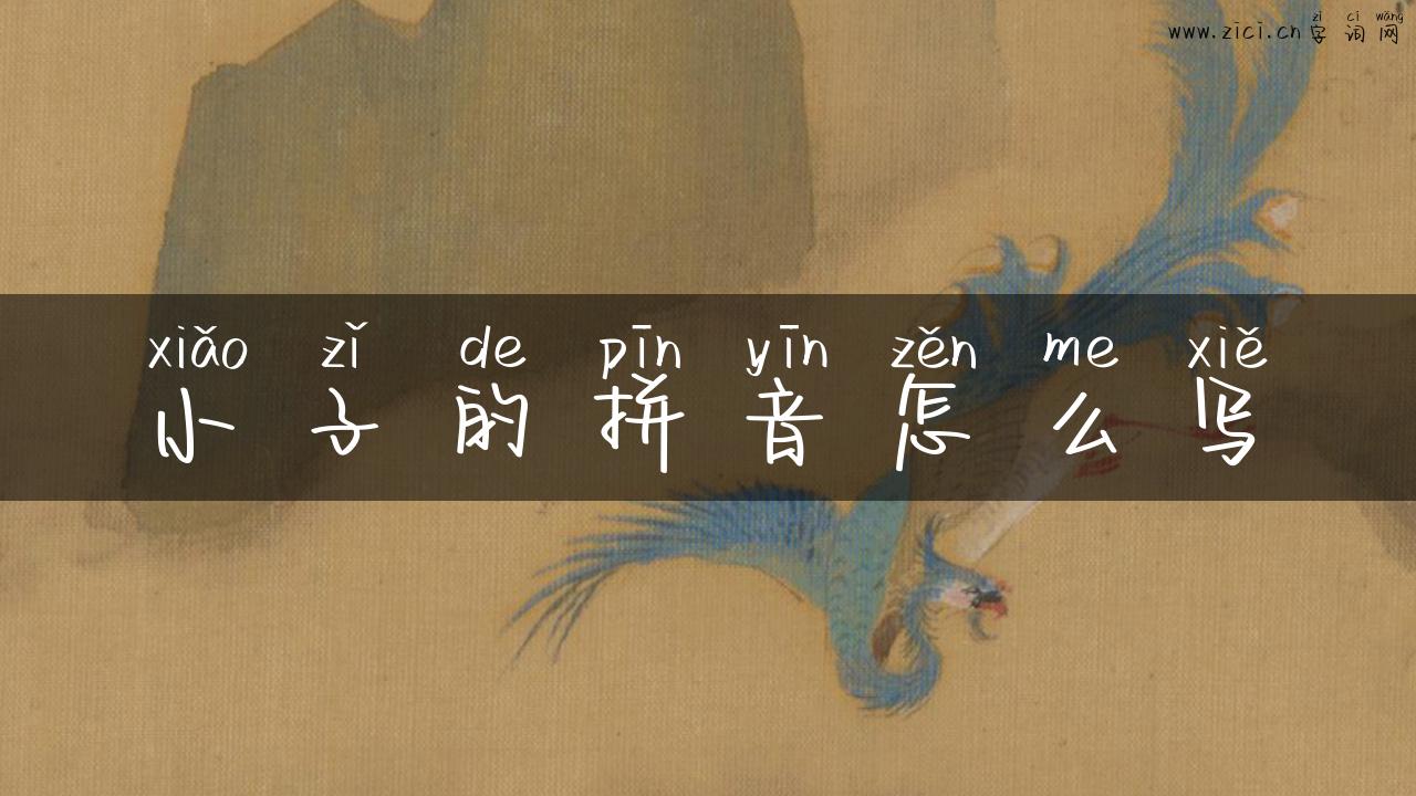 小子的拼音怎么写