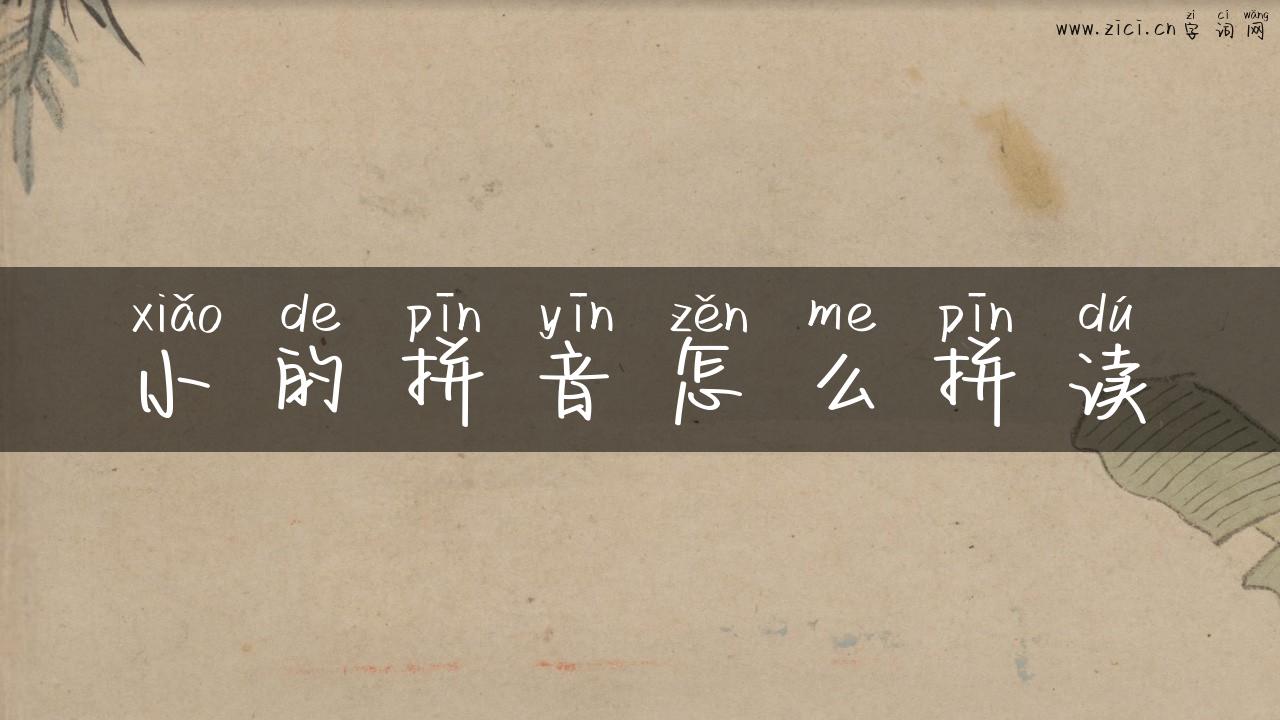 小的拼音怎么拼读
